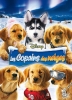 Les Copains des neiges (Snow Buddies)