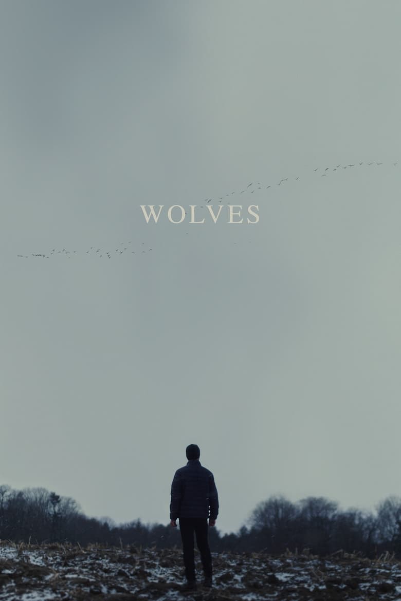 affiche du film Wolves