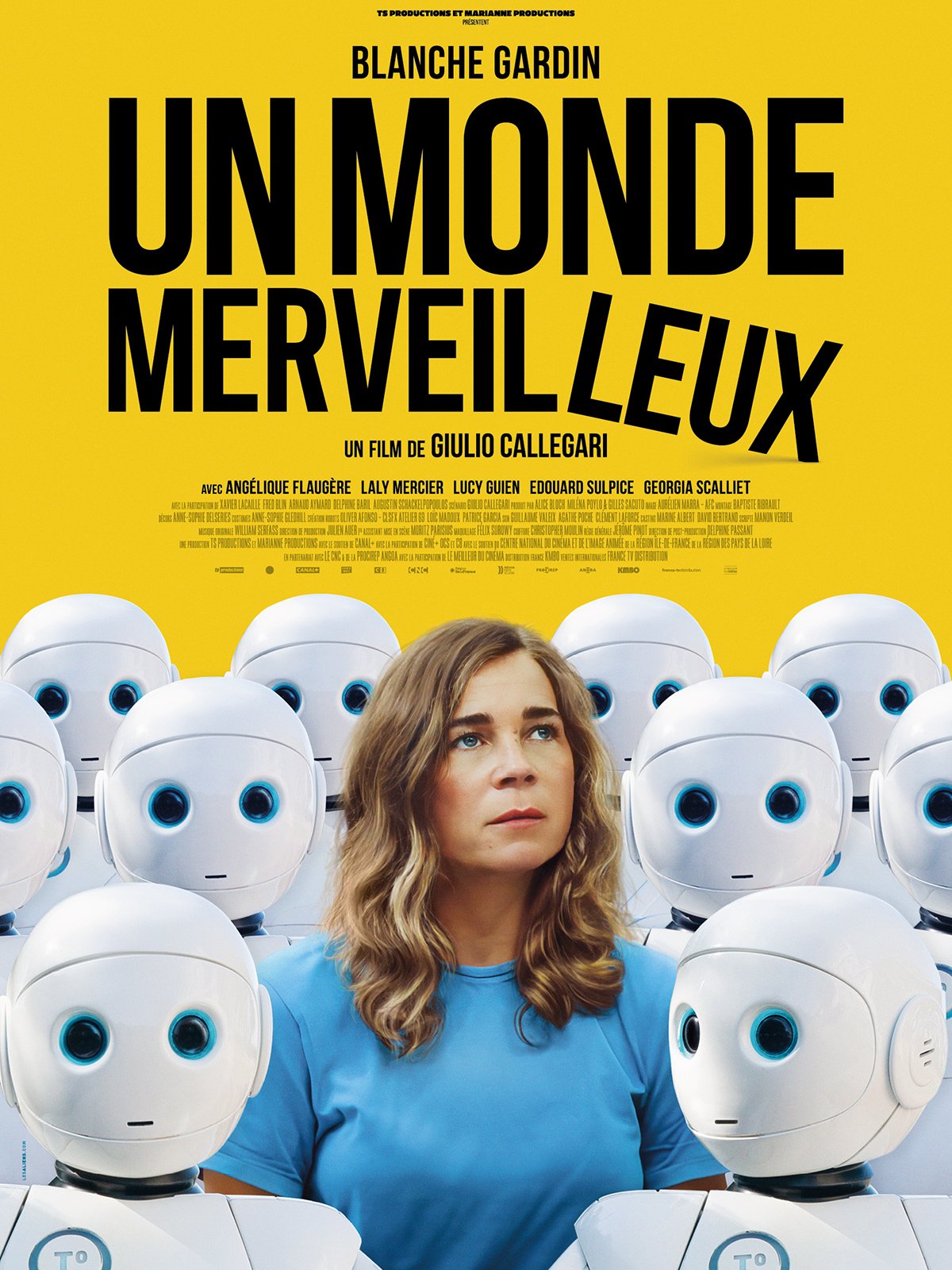 affiche du film Un monde merveilleux