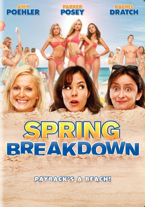 affiche du film Spring Breakdown