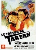 Le trésor de Tarzan (Tarzan's Secret Treasure)