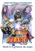 Naruto, le Film : Naruto et la Princesse des Neiges (Gekijôban Naruto: Dai Katsugeki! Yuki Hime Ninpô Chô Datte ba yo!)