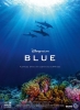 Blue (Dolphins)