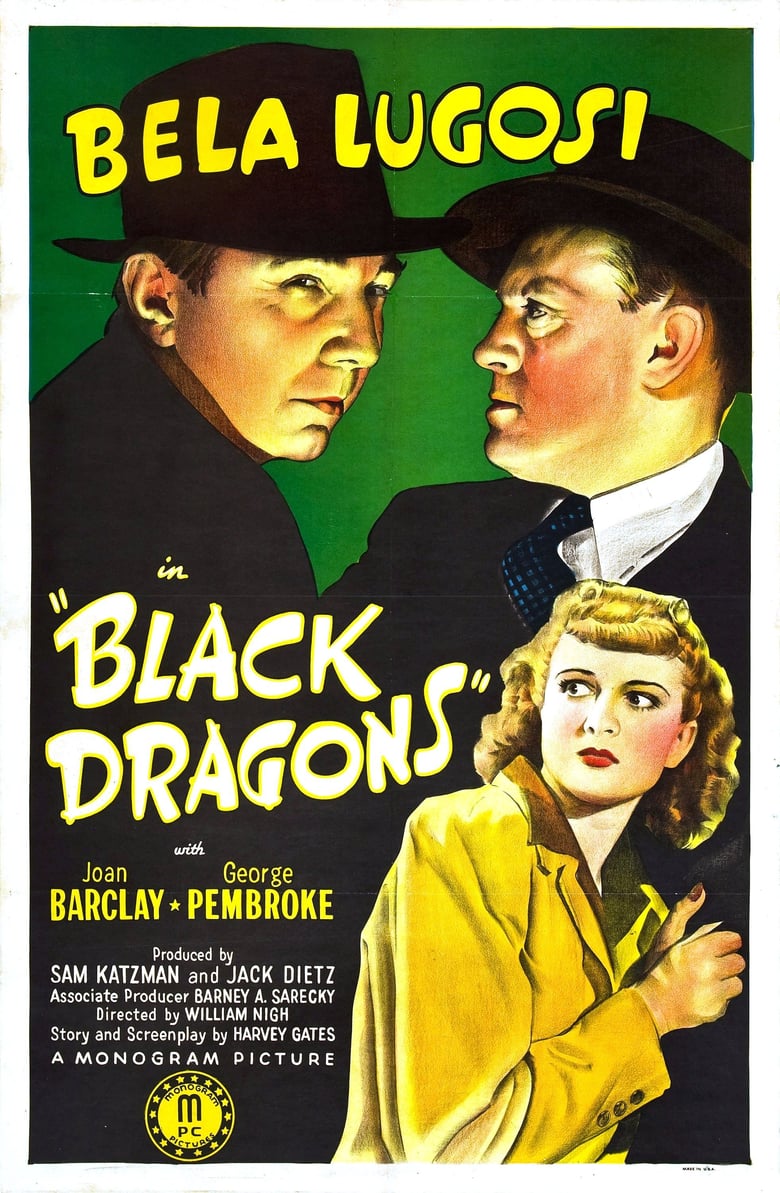 affiche du film Black Dragons