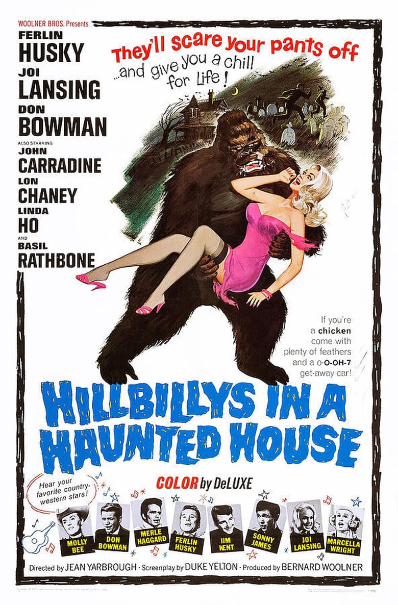 affiche du film Hillbillys in a Haunted House