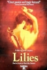 Lilies : Les feluettes