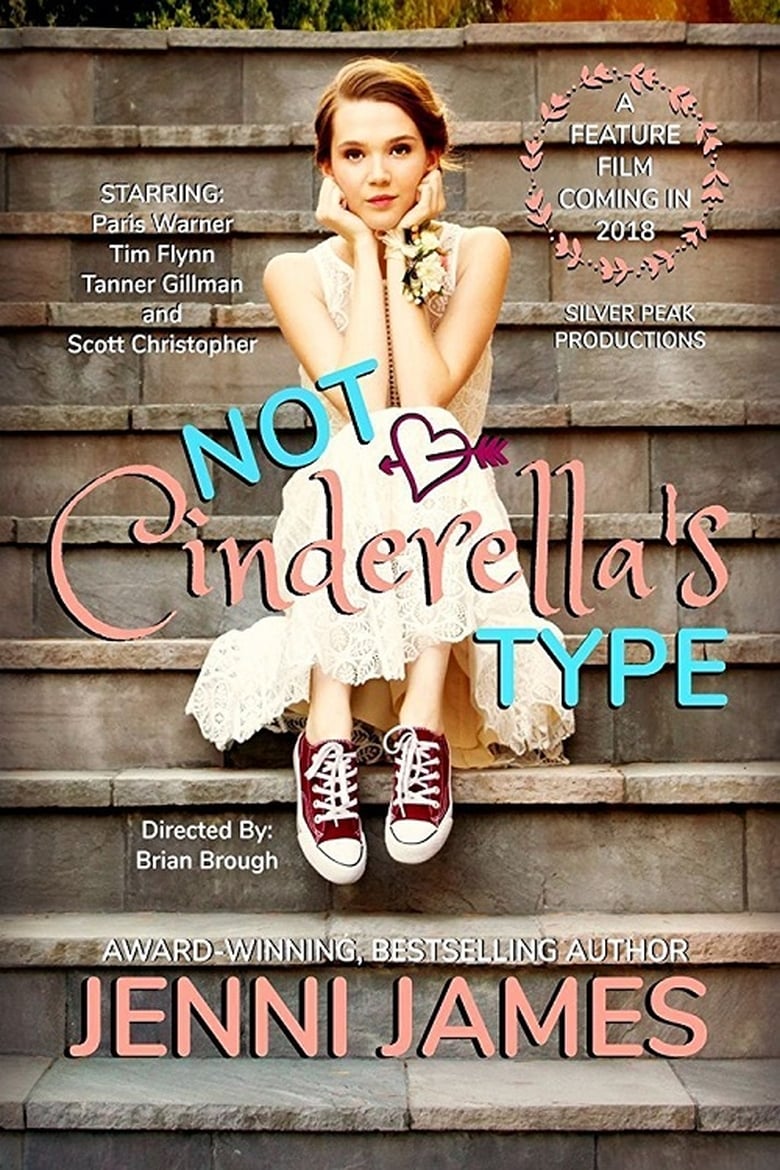 affiche du film Not Cinderella's Type