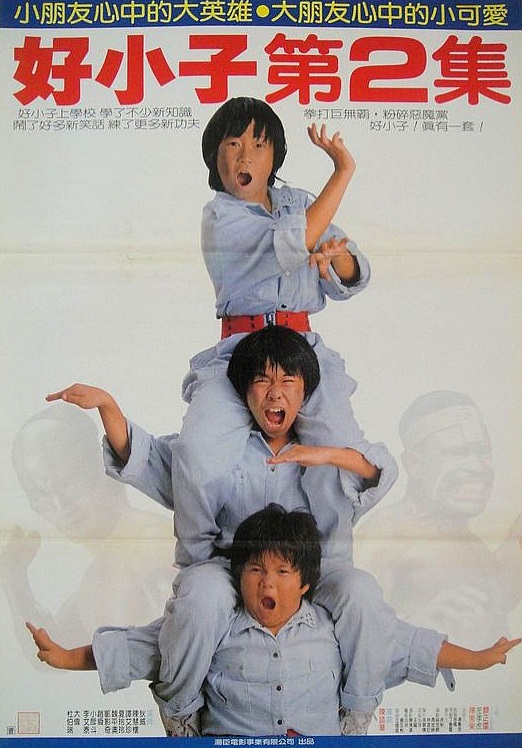 affiche du film Young Dragons: Kung Fu Kids II