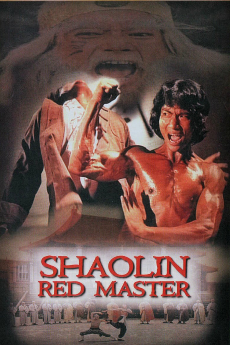 affiche du film Shaolin Tough Kid