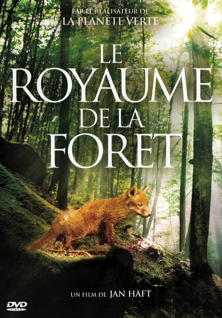 affiche du film Le royaume de la forêt