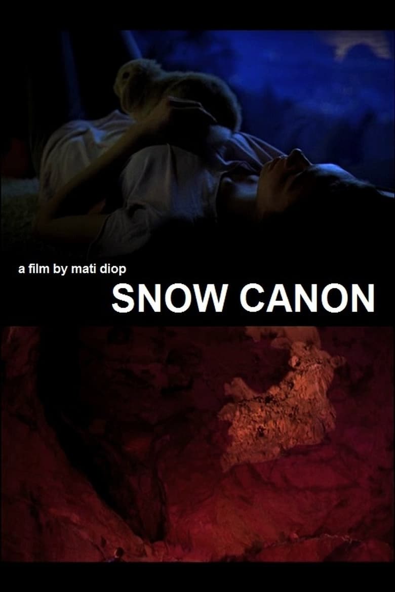 affiche du film Snow Canon
