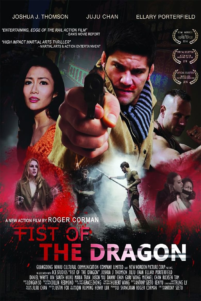 affiche du film Fist of the Dragon