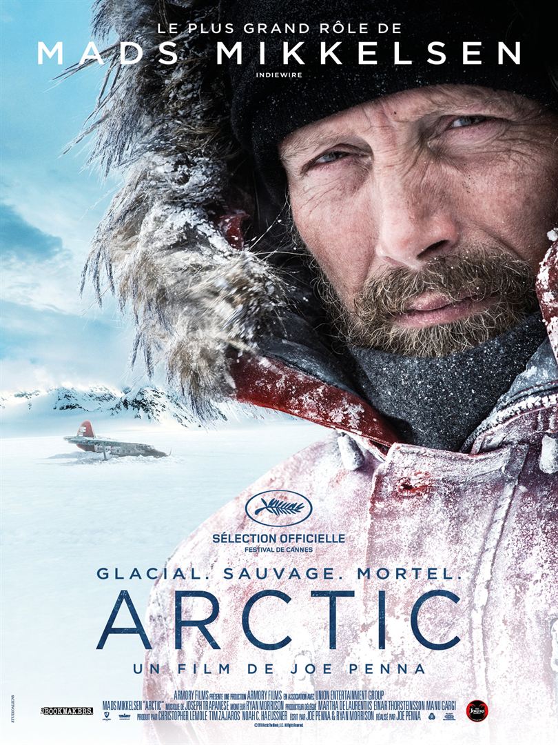 affiche du film Arctic