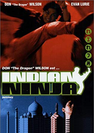 affiche du film Indian Ninja