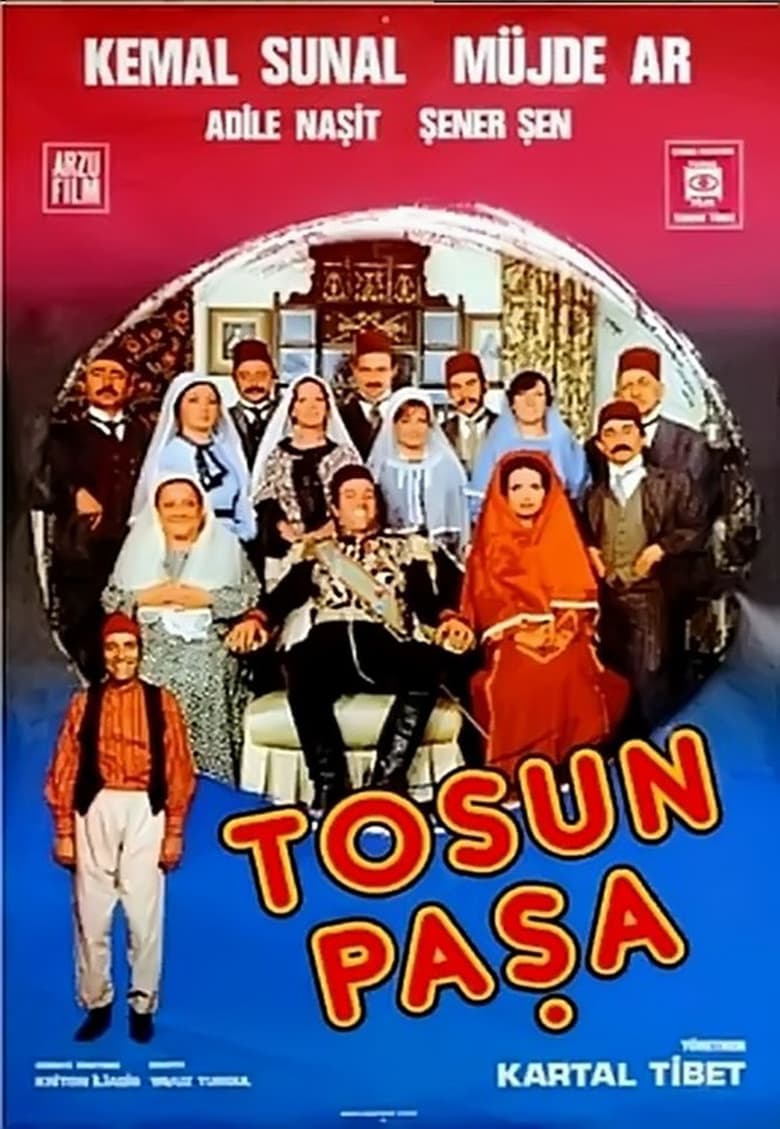 affiche du film Tosun Pasha