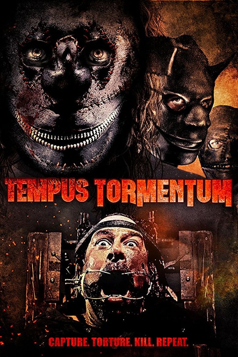 affiche du film Tempus Tormentum