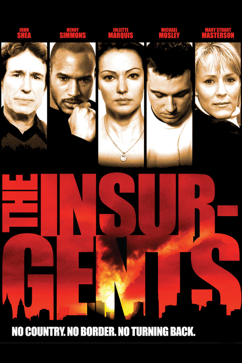 affiche du film The Insurgents