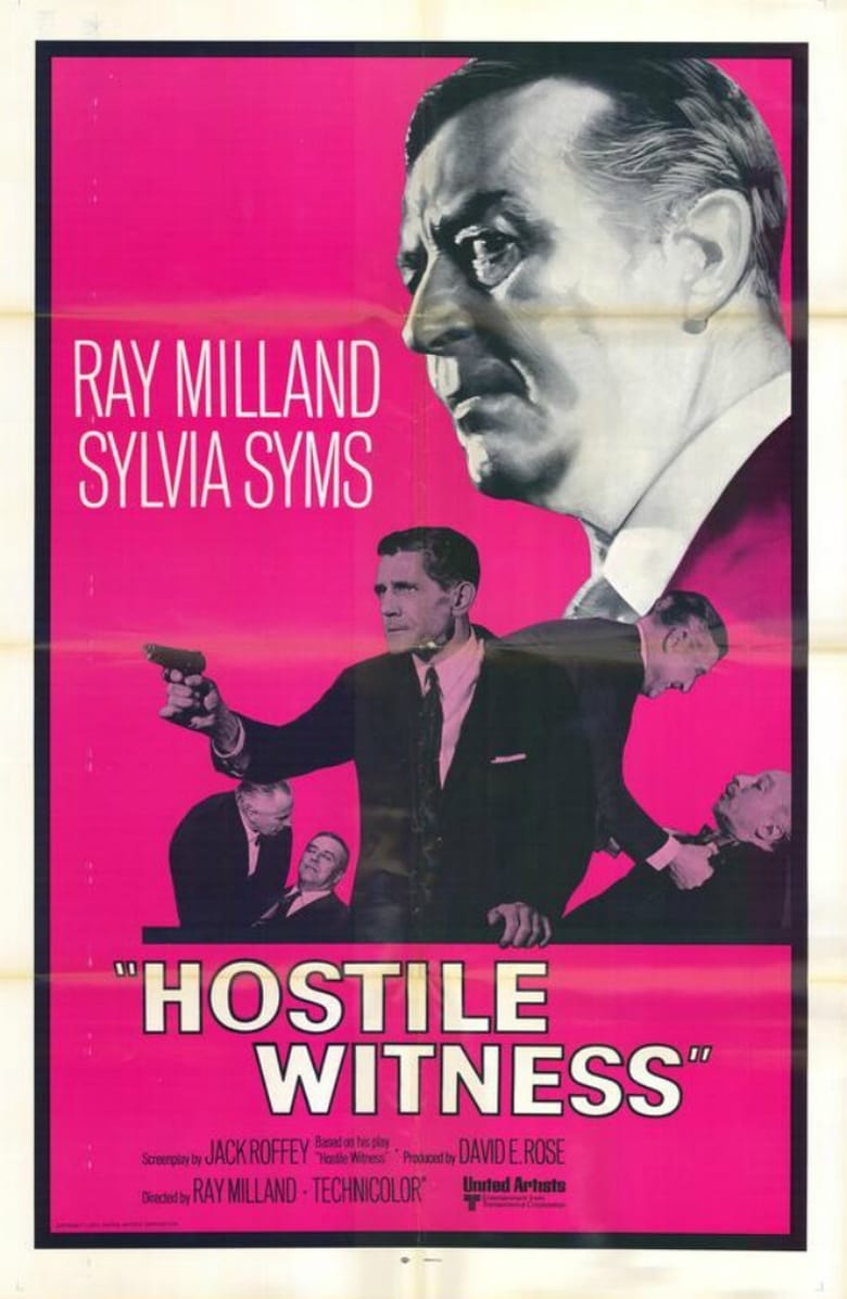 affiche du film Hostile Witness