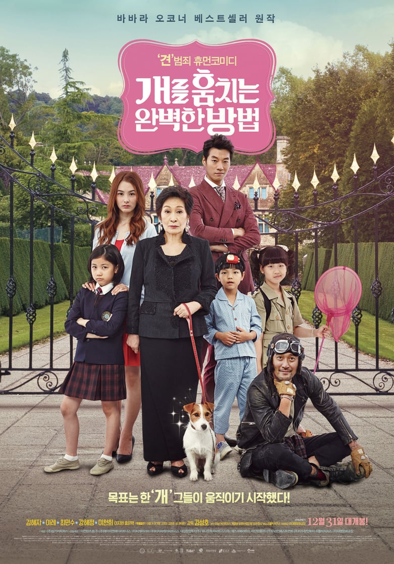 affiche du film How to Steal a Dog