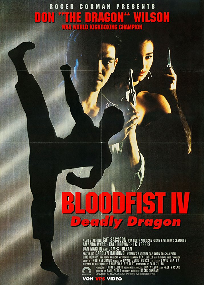 affiche du film Bloodfist 4