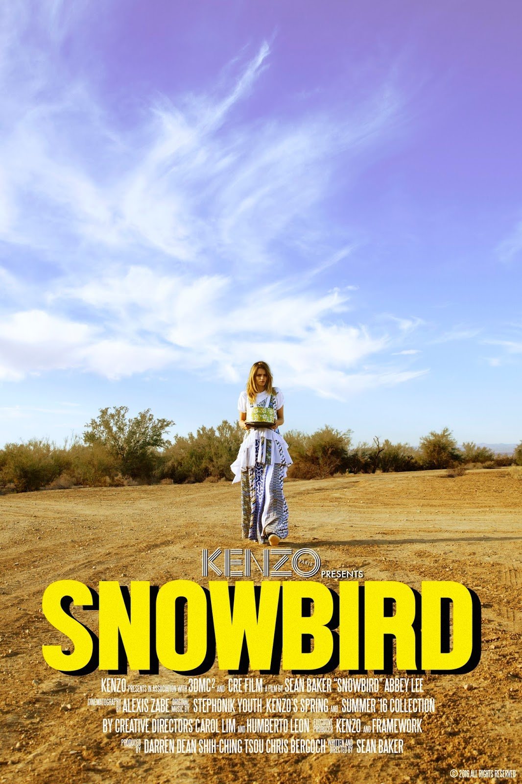 affiche du film Snowbird