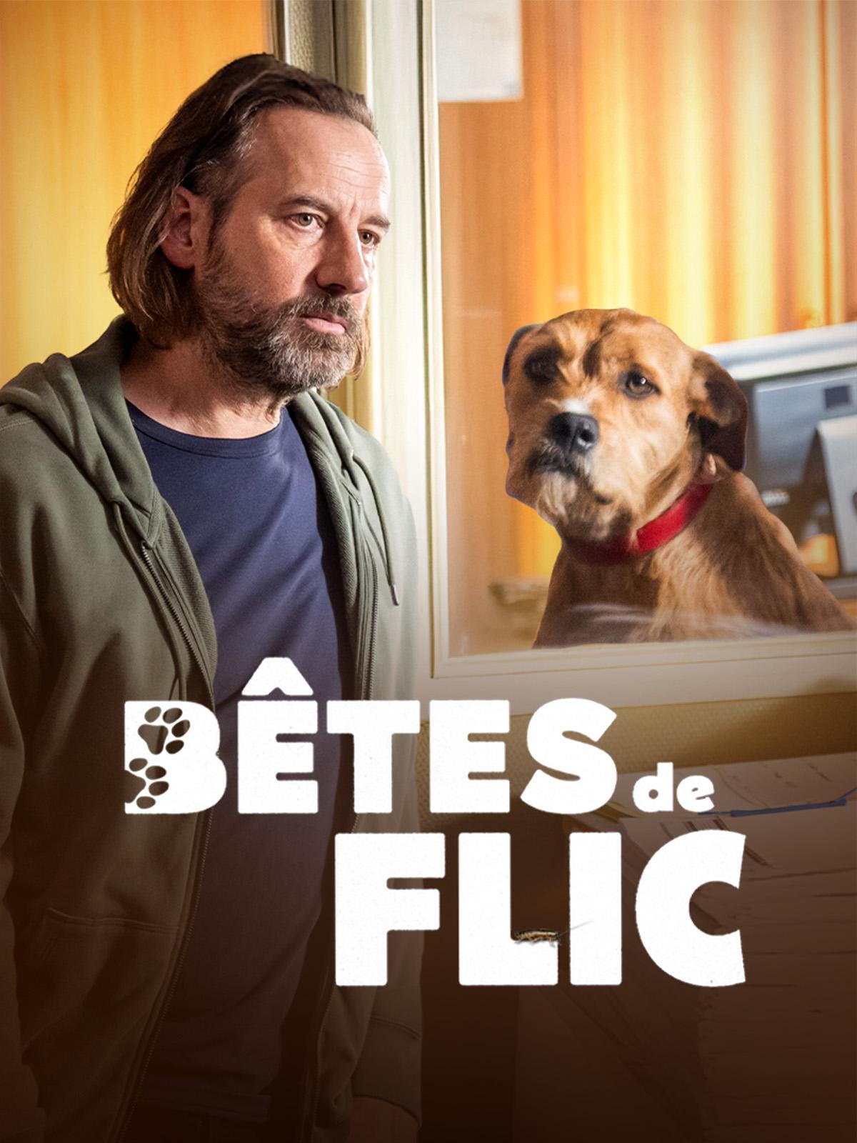 affiche du film Bêtes de flic