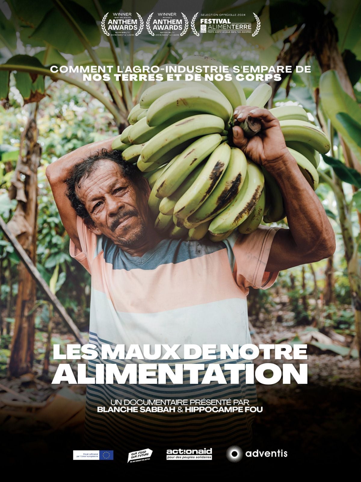 affiche du film Les Maux de notre alimentation