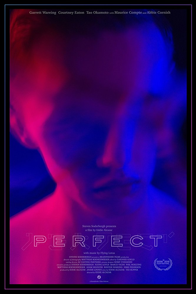 affiche du film Perfect