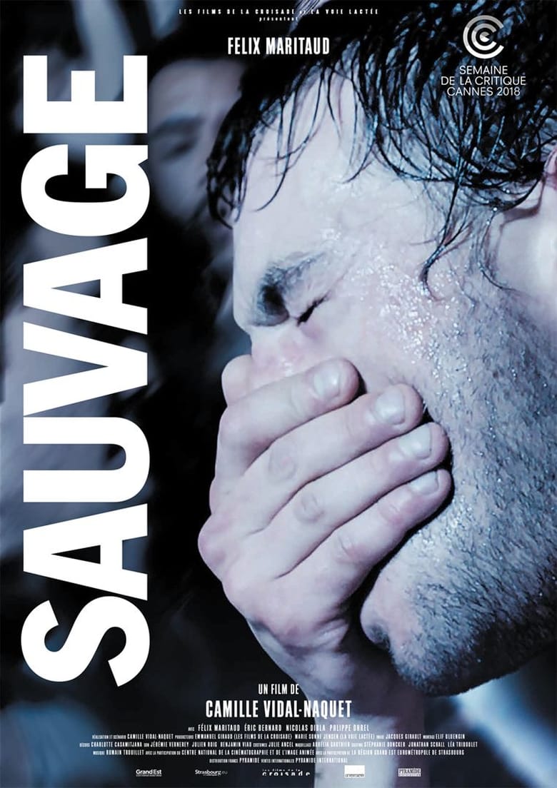affiche du film Sauvage