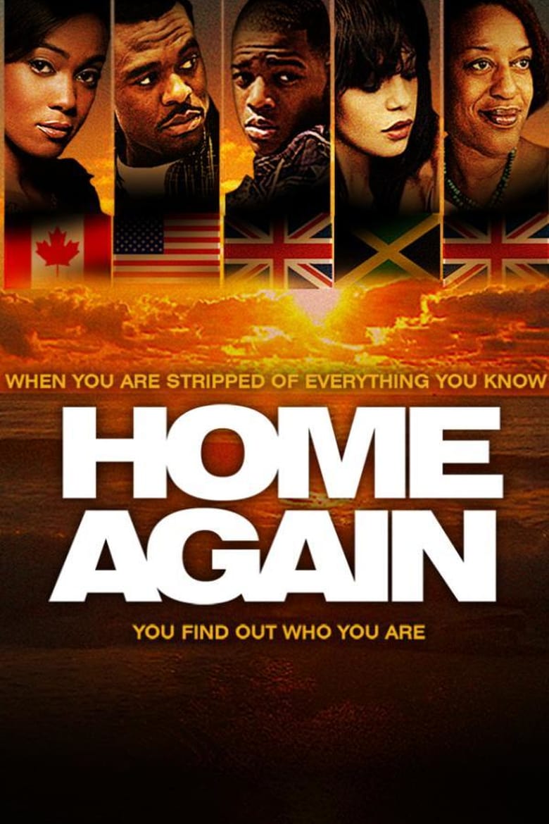 affiche du film Home Again
