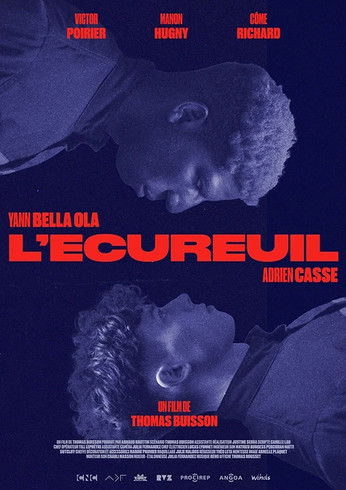 affiche du film L'écureuil