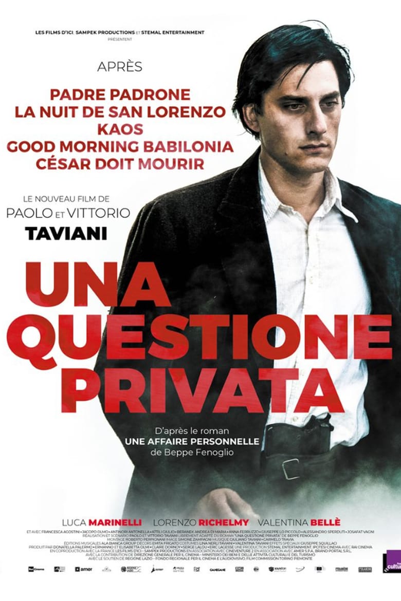 affiche du film Una questione privata