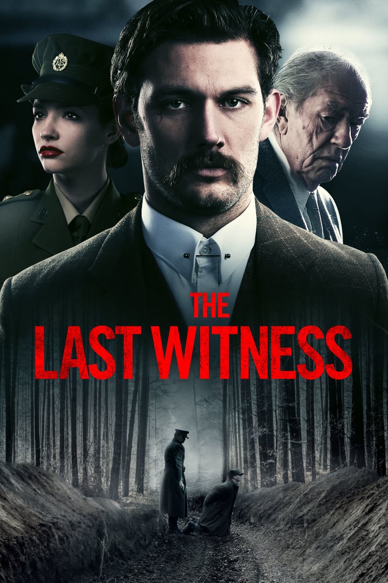 affiche du film The Last Witness