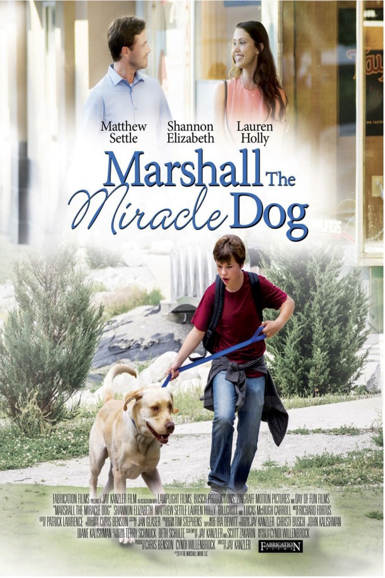 affiche du film Marshall the Miracle Dog