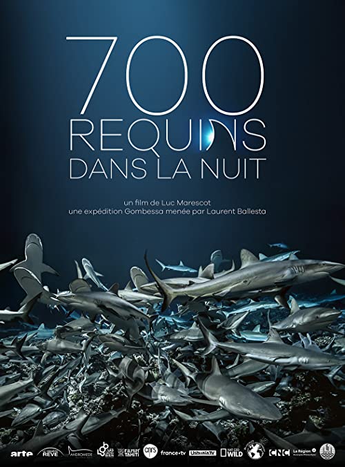 affiche du film 700 Requins Dans la Nuit