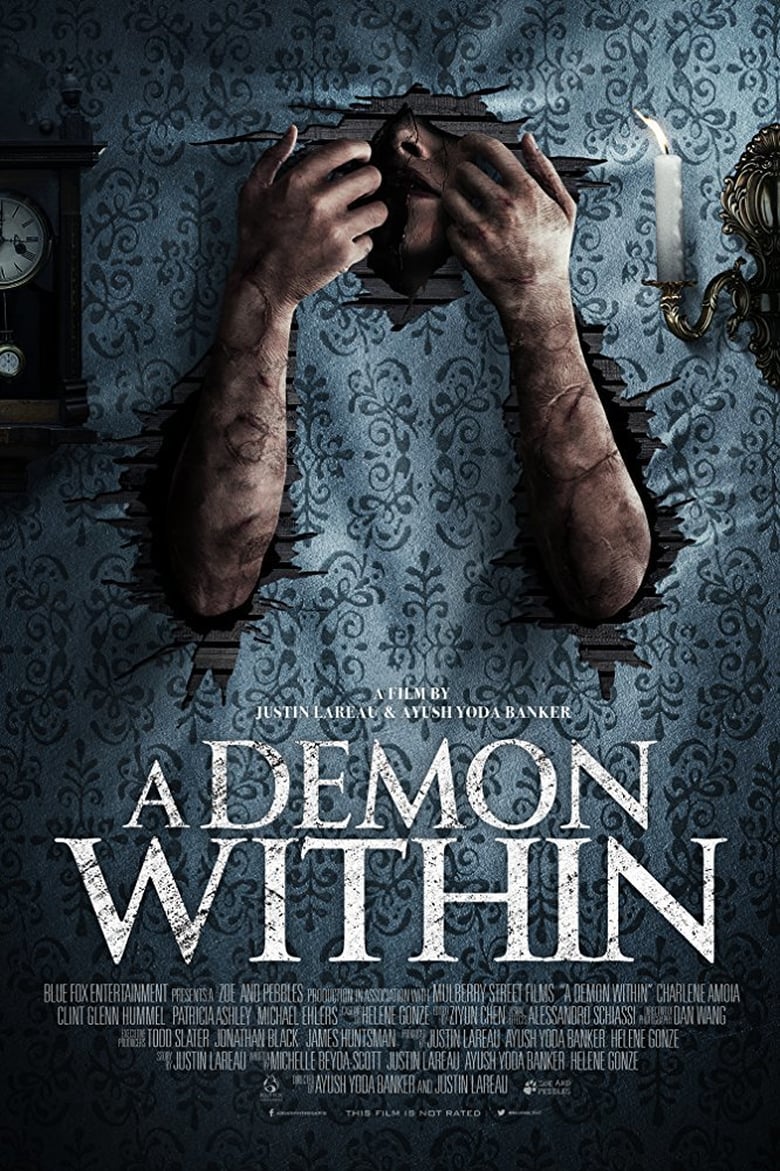affiche du film A Demon Within