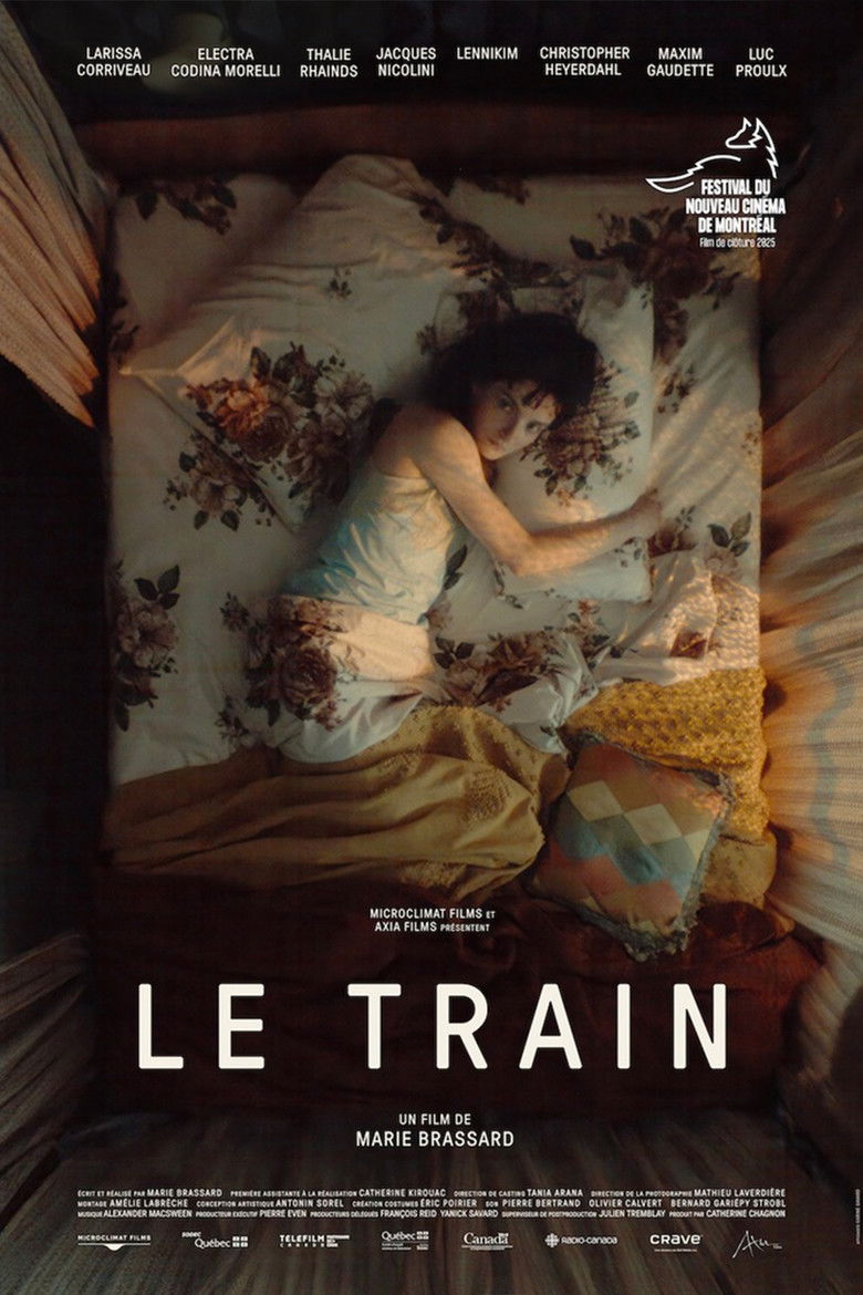 affiche du film Le Train