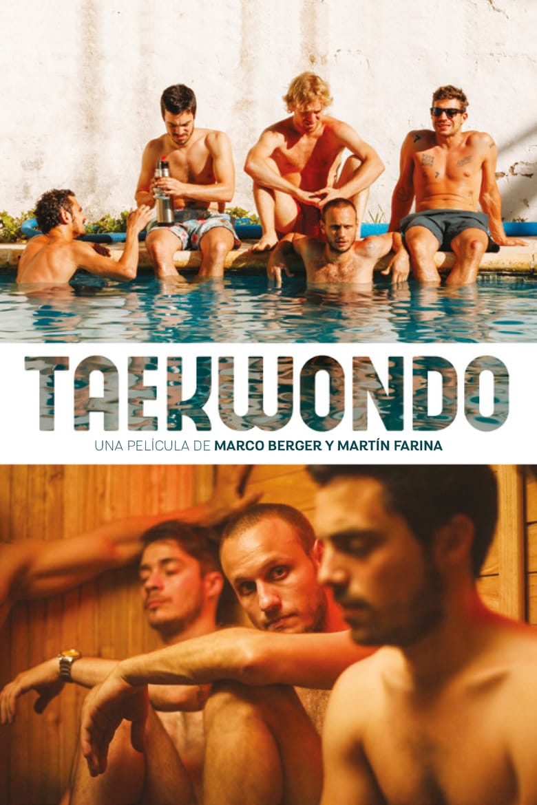 affiche du film Taekwondo