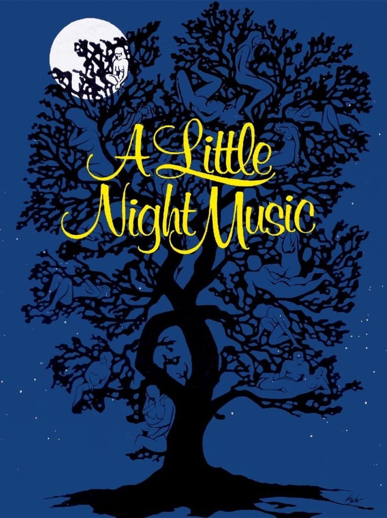 affiche du film New York City Opera: A Little Night Music