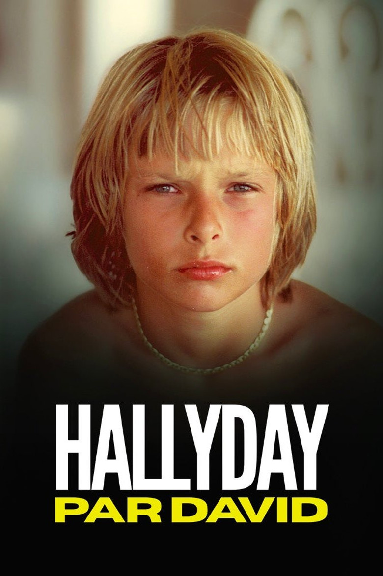 affiche du film Hallyday par David