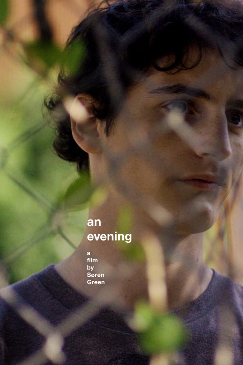 affiche du film An Evening