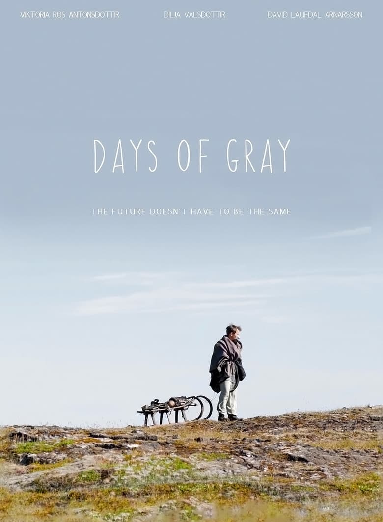 affiche du film Days of Gray