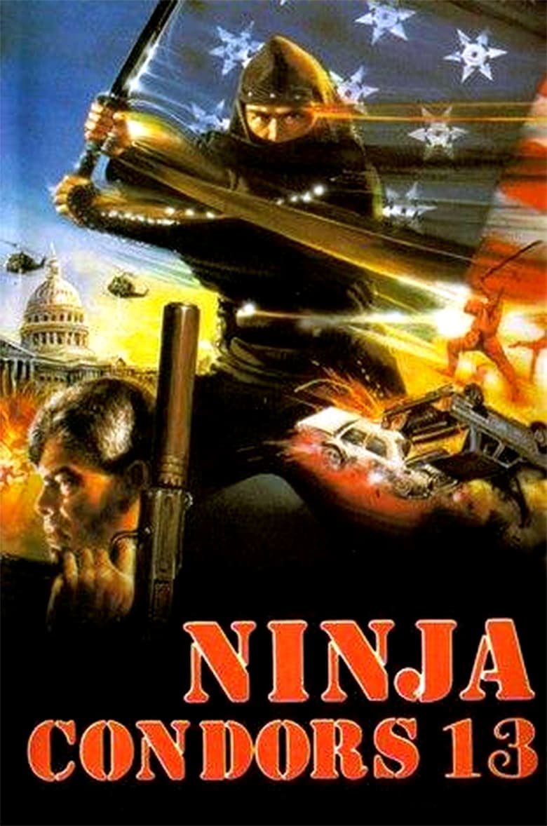 affiche du film Ninjas, Condors 13