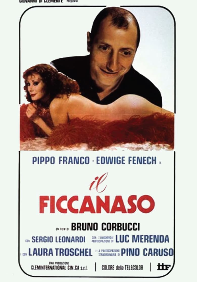affiche du film Il ficcanaso