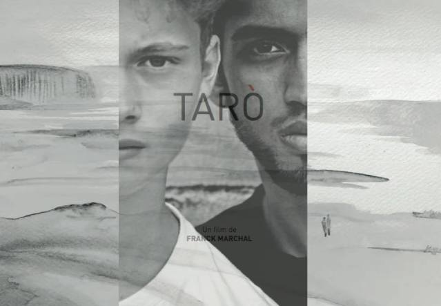 affiche du film Taro