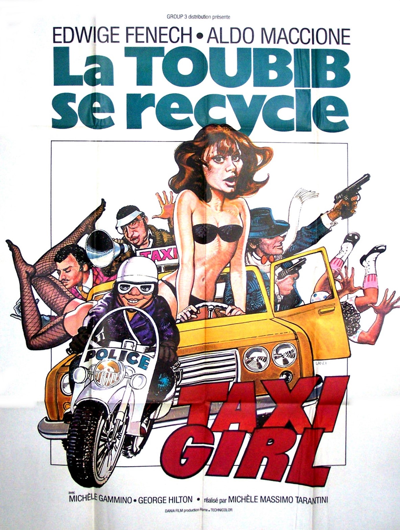 affiche du film La Toubib se Recycle