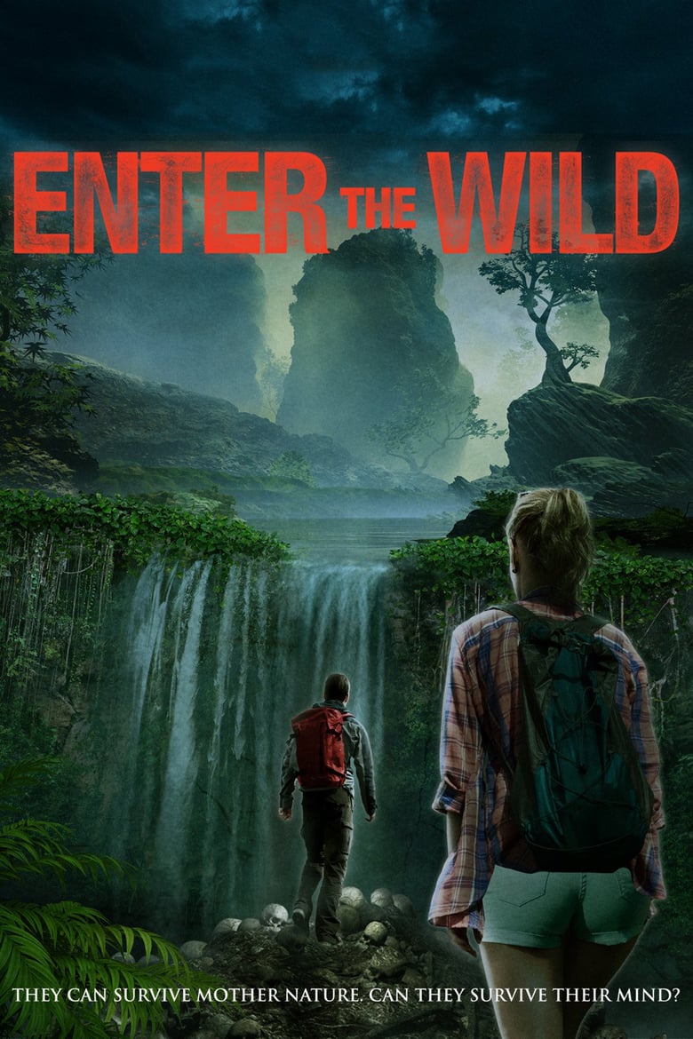 affiche du film Enter The Wild