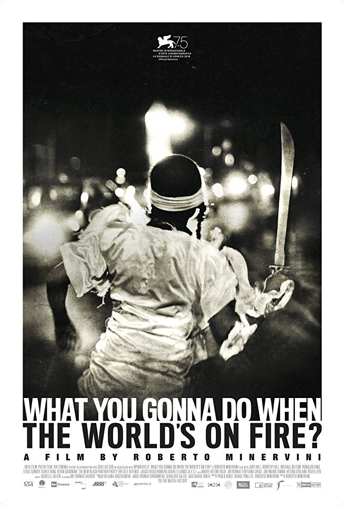 affiche du film What You Gonna Do When the World's on Fire?
