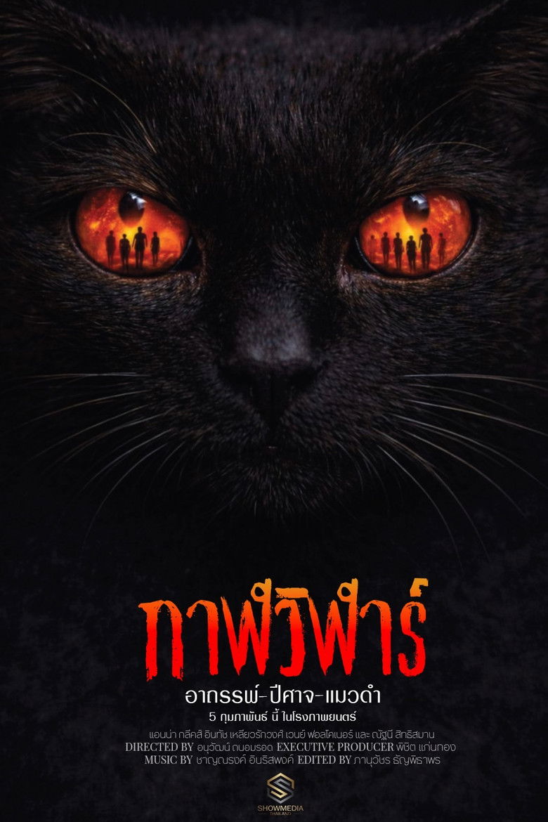 affiche du film Devil Black Cat