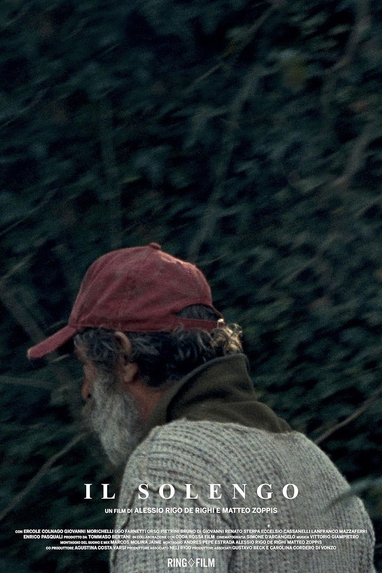 affiche du film Il solengo